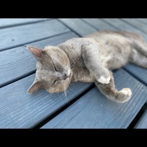 Meet your Posher, Erica